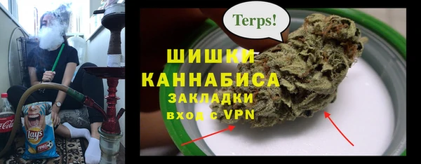 тгк Пестово