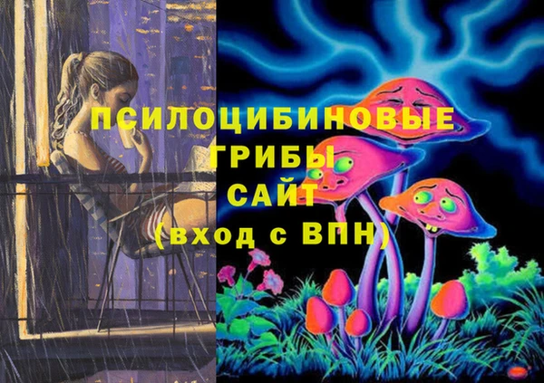 тгк Пестово