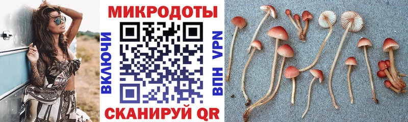 где купить   Шали  Псилоцибиновые грибы Psilocybe 